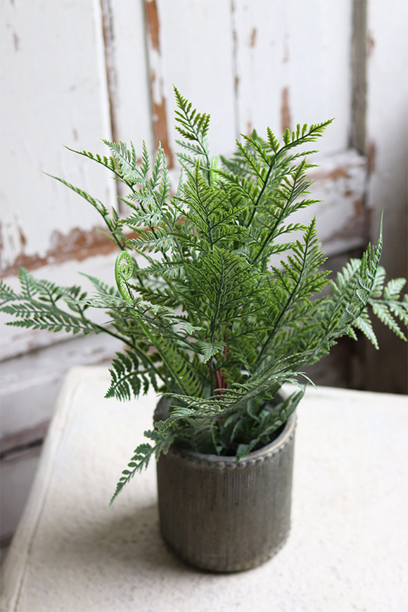 Boho, paproć w ozdobnej donicy, wys.40cm 