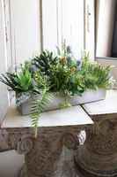 dekoracja zielona Sukulenty w stalowej donicy, Suculenti Steel, wym.30x66cm