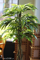 Mangowiec, sztuczna roślina w doniczce