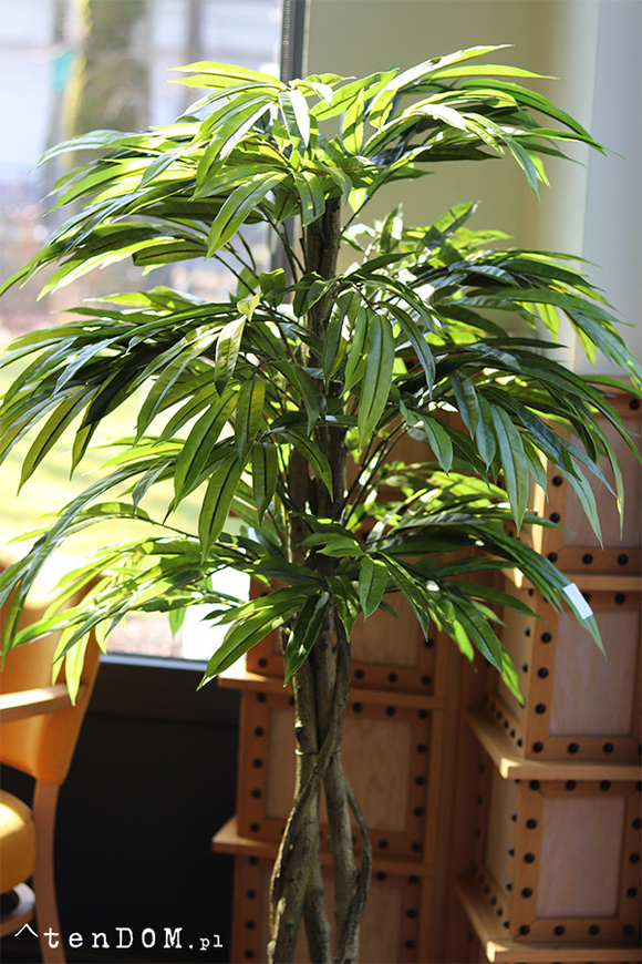 Mangowiec, sztuczna roślina w doniczce