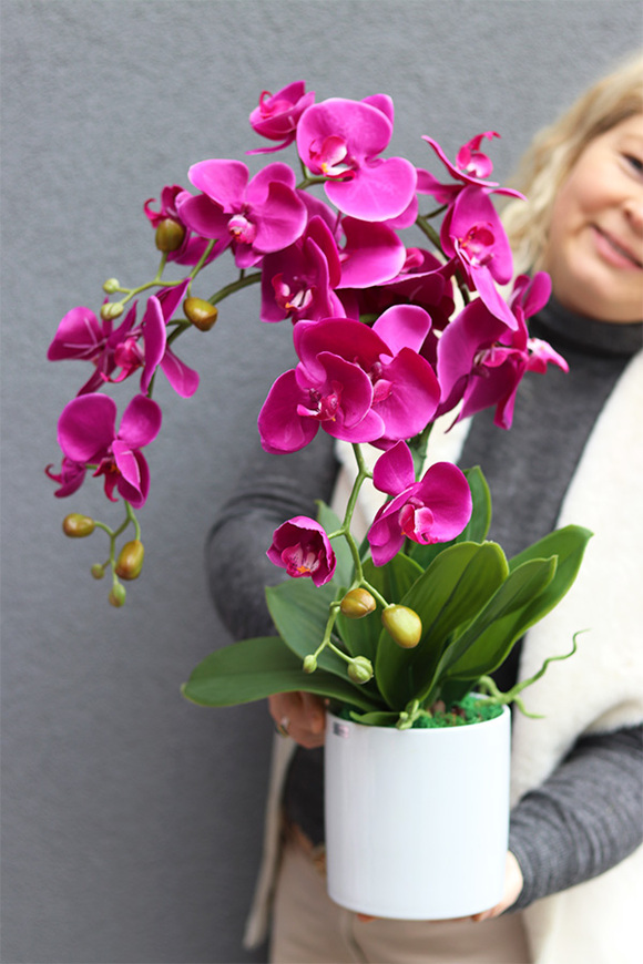 Fuksja Simple 2, fuksjowy sztuczny storczyk w donicy