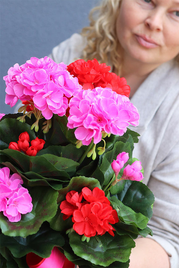 Pelargonie Dorotea, komplet dekoracji nagrobnych