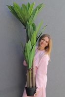 Jukka, sztuczna roślina drzewko