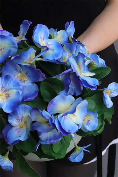 Bratki Blue, niebieskie bratki w naczyniu