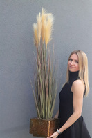 Gold Pressa, sztuczna trawa w metalowej donicy