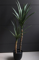 Jukka Modena, sztuczna roślina drzewko