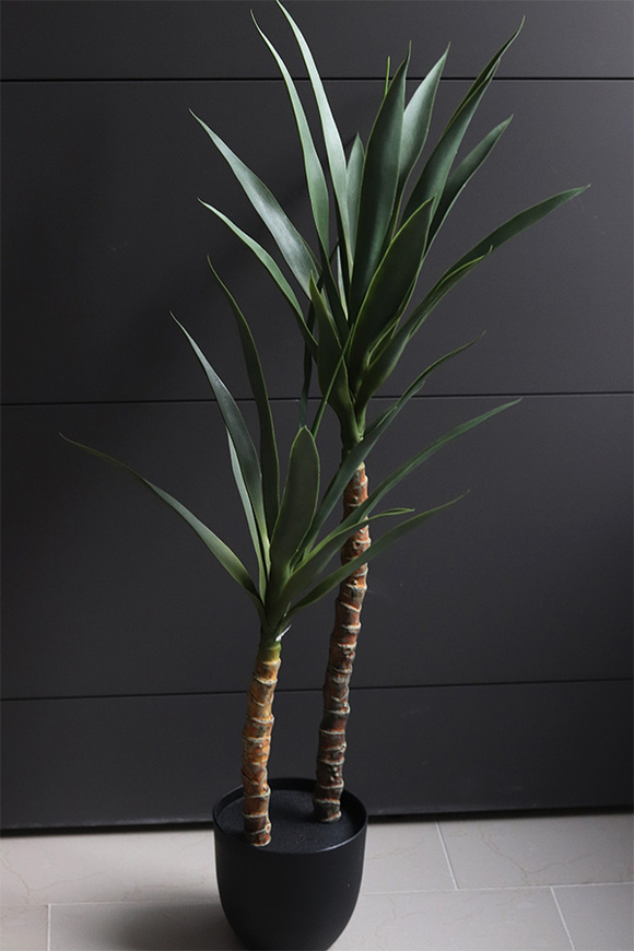 Jukka Modena, sztuczna roślina drzewko