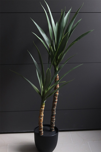 Jukka Modena, sztuczna roślina drzewko