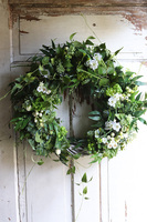 duży zielony wianek, Greenera