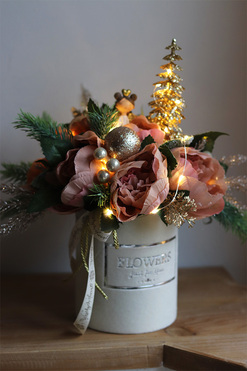 świąteczny flowerbox, Cappuccino Ballerina, wys.32cm