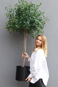 Drzewko Oliwne / Oliwka, sztuczne drzewko w doniczce, wym.158cm 