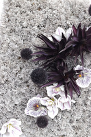 Black Dekor Hotels, czarna jednostronna rama kwiatowa