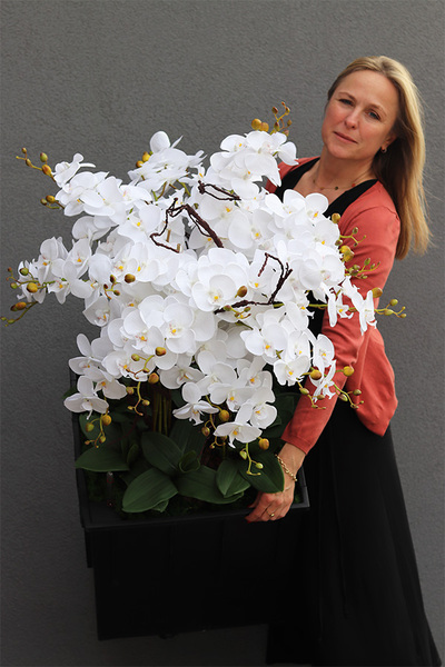 sztuczny storczyk we wkładzie Sylvinia Cubico