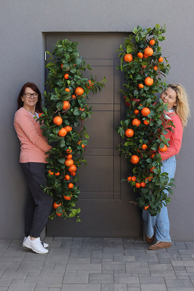 Olimpia Pomarańcze, zielona girlanda dekoracyjna z owocami