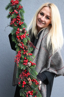 Czerwień Wigilijna, girlanda świąteczna