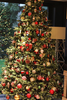 Moko Xmas, dekorowanie choinki u klienta