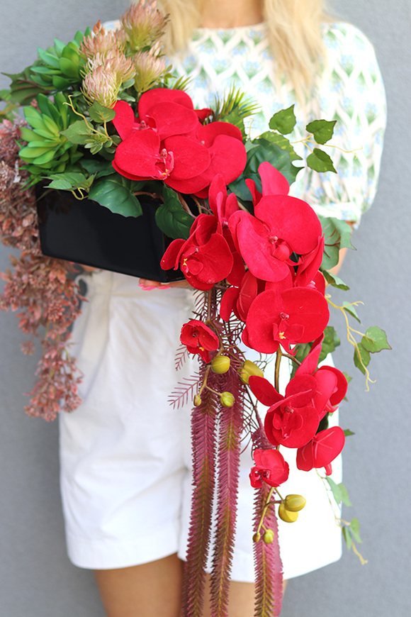 Orchidde Karminetta A, kompozycja sukulentów w donicy, wys.26x48cm