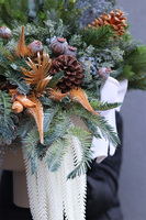 Omnia, zimowa kompozycja w osłonce