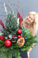 Deluxe Christmas Exclusive, świąteczna kompozycja do twojej donicy