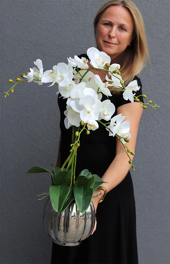 Hydrasio Silver, elegancki storczyk w srebrnej donicy, wys.69cm 