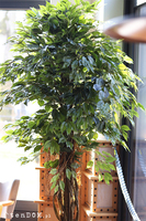 Fikus Benjamin, sztuczna roślina w doniczce