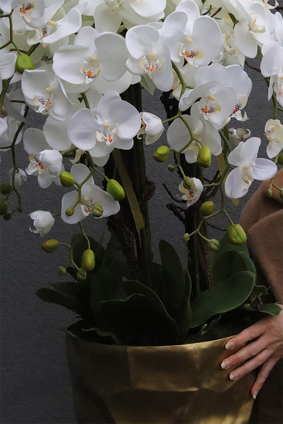 Deluxe Gold, sztuczny storczyk w złotej donicy