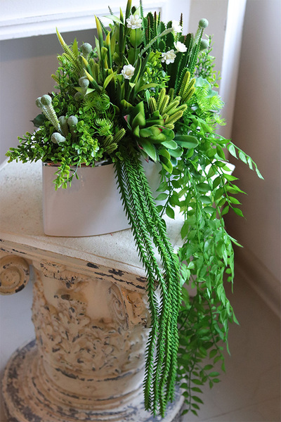 Anya Manfredo Sukulenty, zielona kompozycja w donicy