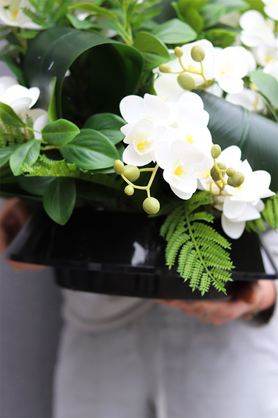 White Orchidera kompozycja nagrobna w plastikowym naczyniu