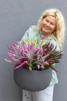 Wrzosowisko Fiberglass, wrzosy w szarej donicy