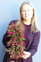 Wrzosy Cipriano Amarant, kompozycja kwiatowa w czarnej donicy