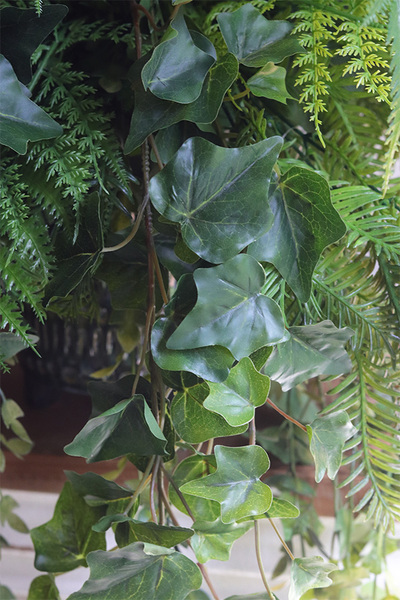 Amazonia, zielona kompozycja w donicy na nóżkach