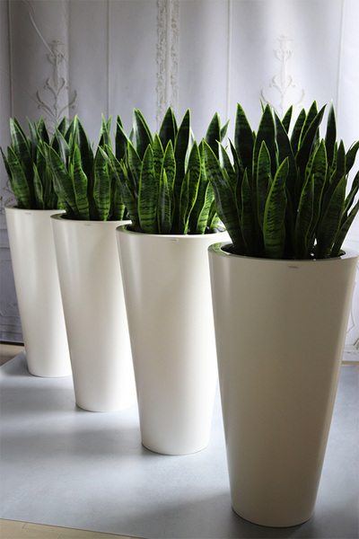 Sansewieria Della 2, roślina sztuczna w donicy