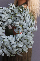 Zieleń Metila, zielony wianek z ruskusem