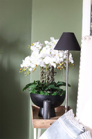 Black SImplicita, storczyk w metalowym pucharze, wys.77cm