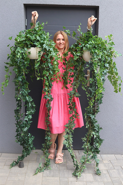 Bluszcz Doniczkowy, kompozycja zielona w wiszącej donicy