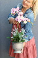 Szampania, różowy storczyk z lawendą