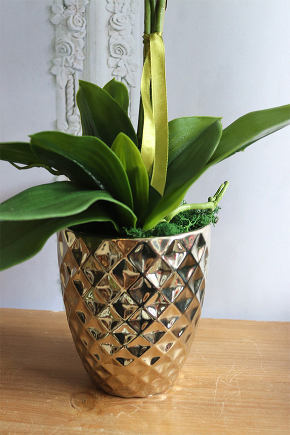 Filano Gold, sztuczny storczyk w złotej donicy