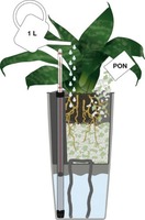 Cubi Mini, elegancka donica z nawadnianiem, antracyt