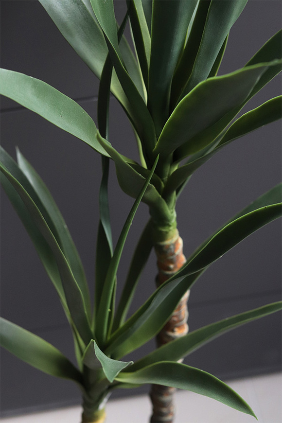 Jukka Modena, sztuczna roślina drzewko