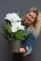 Amarylia Small, dekoracja kwiatowa z amarylisem, wys.50cm 