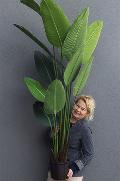 Bananowiec, sztuczne drzewko w osłonce donicy, wys.175cm 