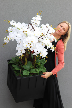 sztuczny storczyk we wkładzie Sylvinia Cubico, wys.115cm