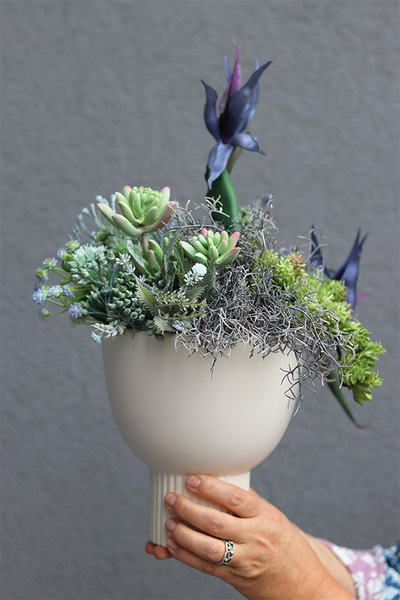 Elenita Blue, kompozycja kwiatowa ze strelicją, wym.42x40cm