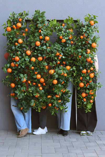 Olimpia Pomarańcze, zielona girlanda dekoracyjna z owocami