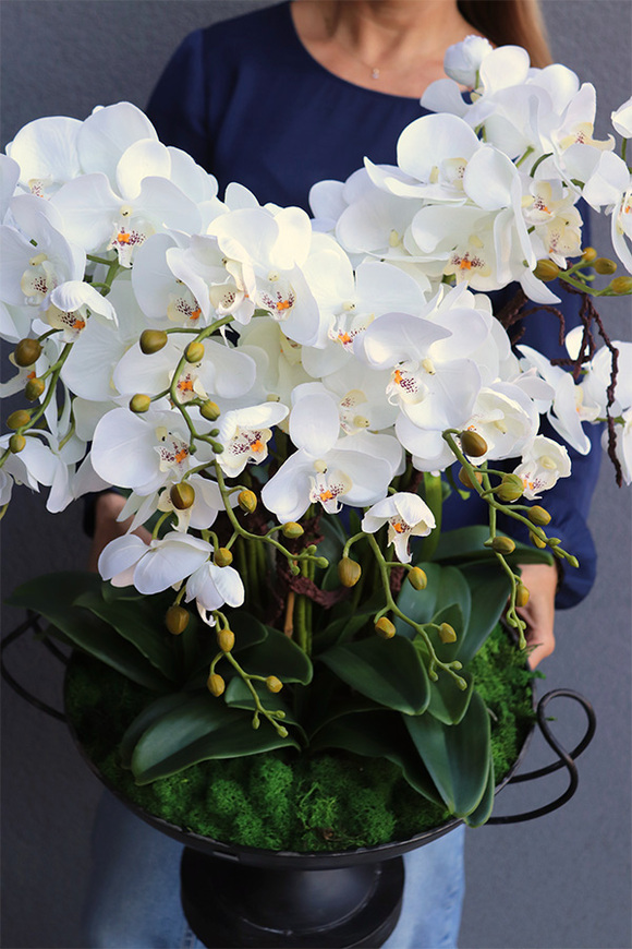 Pałacowa Komnata, elegancki storczyk w pucharze