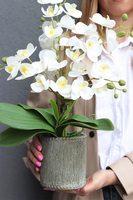 Kulena Tall 3, gumowy storczyk w etno donicy