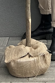 Christmas Pines B, dekoracyjna choinka sztuczna w jucie