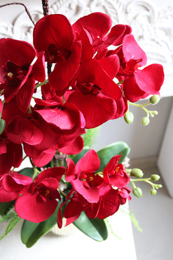 Karminna Gold, sztuczny czerwony storczyk, wys.63cm  