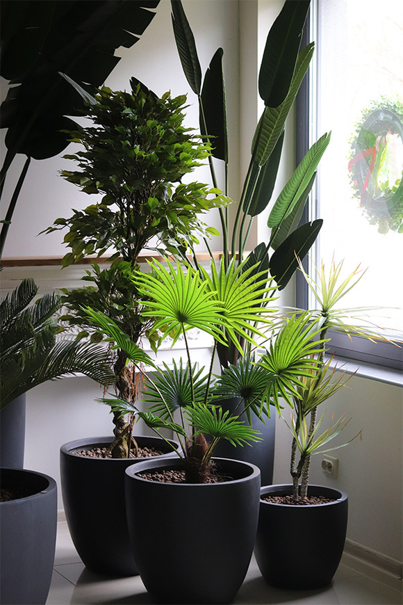 Livistona Concrete 2, sztuczna palma w betonowej donicy