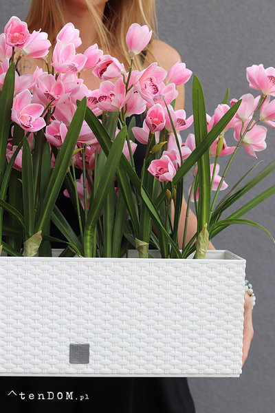 Samanta Pink Cymbydium wysokiej jakości sztuczny storczyk